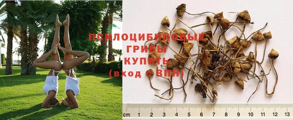 гидропоника Барнаул
