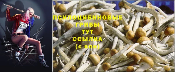 не бодяженный Ижевск
