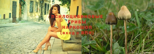 ECSTASY Бутурлиновка