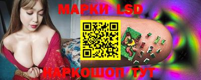 спиды Аргун