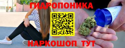 спиды Аргун