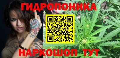 крисы Донецк