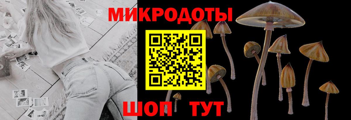 Псилоцибиновые грибы мицелий  Вход с VPN  Тара 